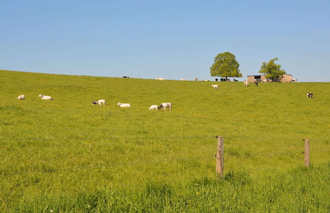 Castle in Roumont With Garden - Foto 25