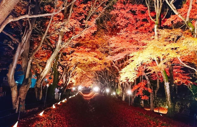 Lake Villa Kawaguchiko - Photo 39