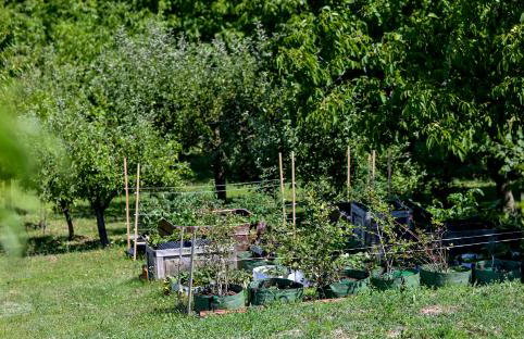 Kuća za odmor Sofija - Foto 48