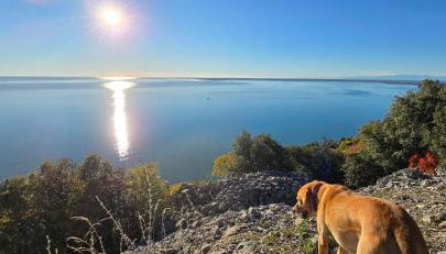 Alla Cantina - Foto 2