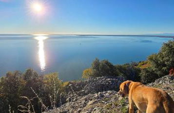 Alla Cantina - Foto 2