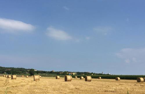 Agriturismo Villa Gaia - Foto 51