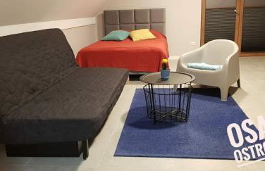 Osada Ostrowsko - Foto 4