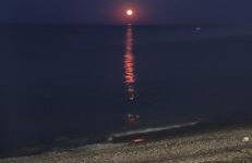 Βίλα Κατερίνα - Villa Katerina - Foto 41