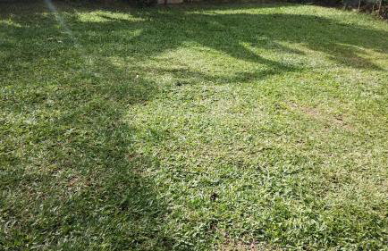 Casa em Petrópolis - Foto 25