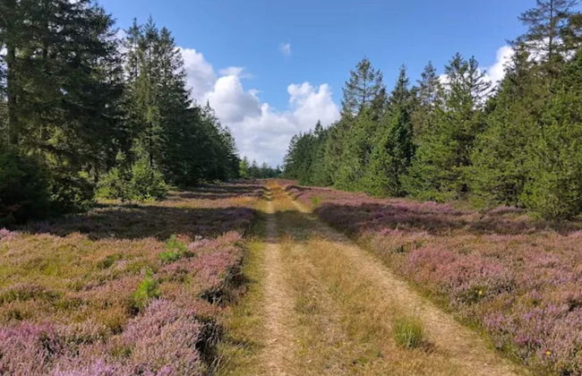 4 Star Holiday Home in Brande - Foto 27