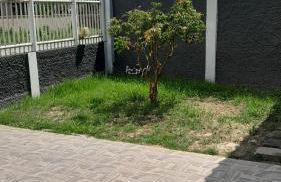 Casa 3 quartos - Foto 3