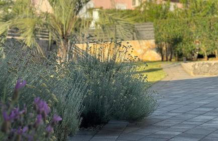 Apartments Ein Haus in der Sonne - Foto 35