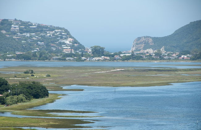 Big Tree House Lodge - Foto 39