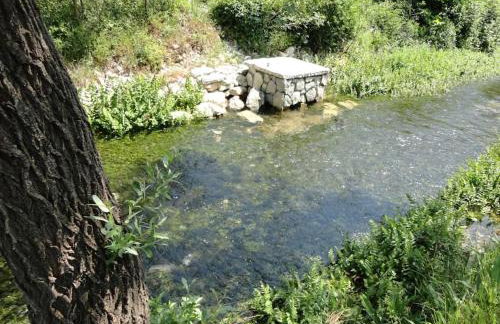 Water Spring - Foto 34