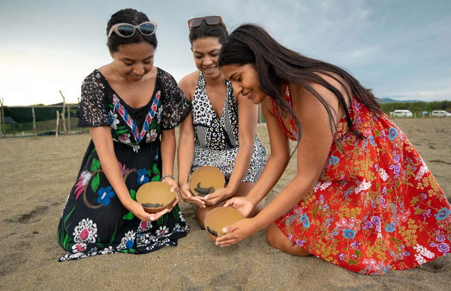 Turtle Release Experience - Photo 2