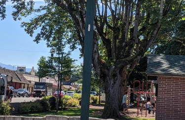 Guppies Lakehouse-Prvt. Lake Acc, Close to Rainier - Foto 67