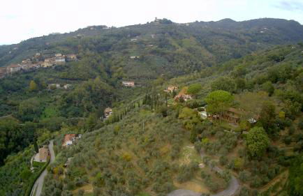 PETTOCANNELLA - Foto 14