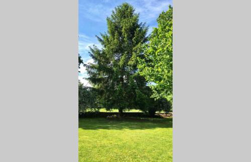 Casa Amalia - En el corazón verde de Cantabria!! - Foto 11