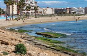 Brisa turquesa - Foto 32