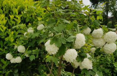 Ferienwohnung Monschauer Land - Foto 41