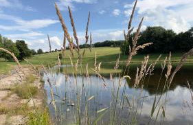 Ferienwohnung Wiesenblick in Seiffen - Foto 44