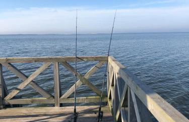 Apartamenty - Dom Smołdziński Las - Foto 41