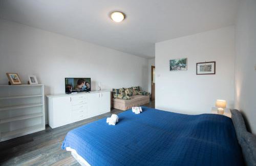 Ika Blue Studio - Photo 2