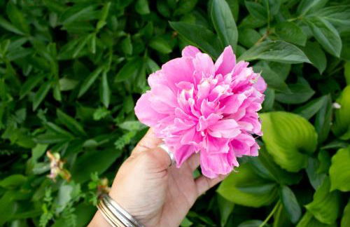 Harbor Hill House - Foto 30