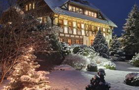 Szwajcarski Dworek - Foto 69