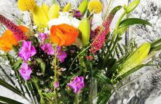 L'Essentiel - Love 5 Etoiles - Foto 28