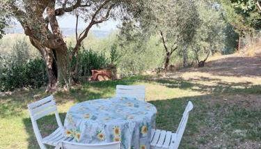 Grazioso cottage di campagna - Foto 4, Garden
