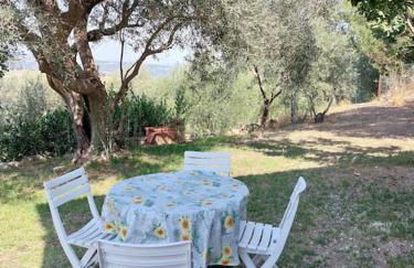 Grazioso cottage di campagna - Foto 4