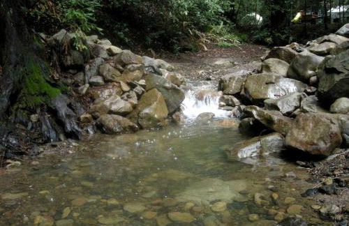 Private Glamping Getaway in the Redwoods near Santa Cruz, California - Foto 39