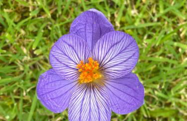 Garden Studio for Two - Foto 10