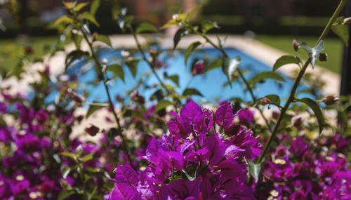 Floridamar Mimosa - Foto 3