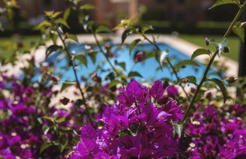 Floridamar Mimosa - Foto 3