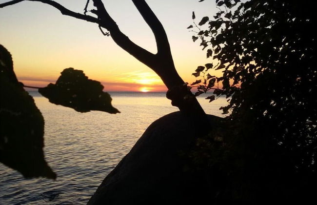 Uitzicht op de Kraanvogel - Foto 19