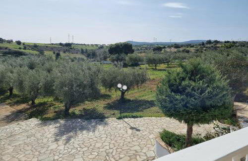 Mediterranean Villa Megara - Foto 44