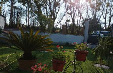 Sabbia Dorata - Foto 18