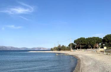 Nerinalia Residence - Foto 31