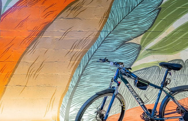 Extraordinary 1BR With Balcony in Santa Ana - Photo 31