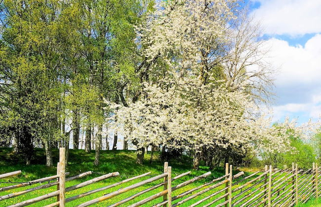 4 Person Holiday Home in Sandhem - Foto 3