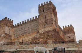 Alojamiento el camarín - Foto 44