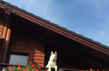 Apartments Bramado - Foto 8