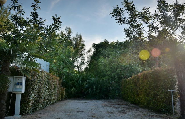 Masseria Lama - Foto 61