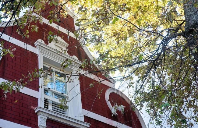 Avemore Jan Cats No 5 - with backup power - Foto 18