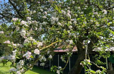 Ferienhaus Johanna Hooksiel - Foto 17