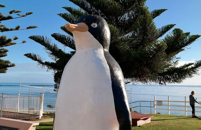 BIG4 Tassie Getaway Park Ulverstone - Foto 62