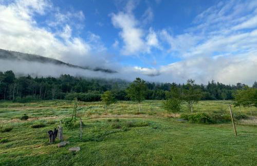 Nature Art Retreat on Breckenridge Creek with Pond! - Foto 39