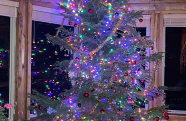 Wapiti Retreat at 22 West Cabins and Recreation - Foto 47