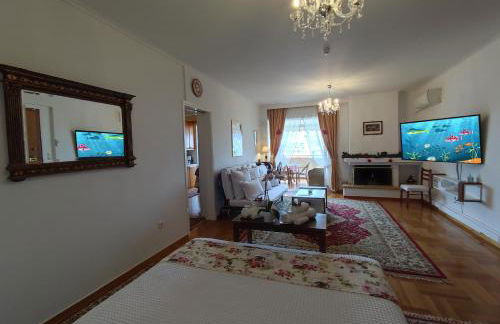 ''Athens Light'' luxury spacy appartment, Agia Paraskevi - Foto 1