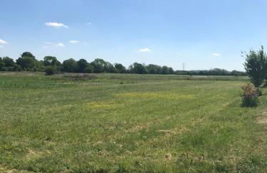 The HopBarn - Foto 2