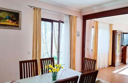 Parkresidenz Maria - 160 m2 - Whirlpool - Terrasse - Exklusiv am Goethepark - Foto 14