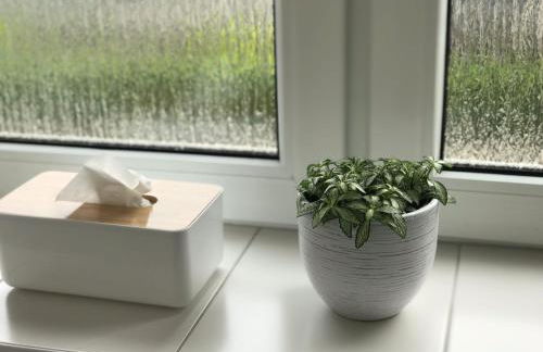 fewo-friends - Foto 20